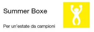 Summer Boxe 2017 - Logo